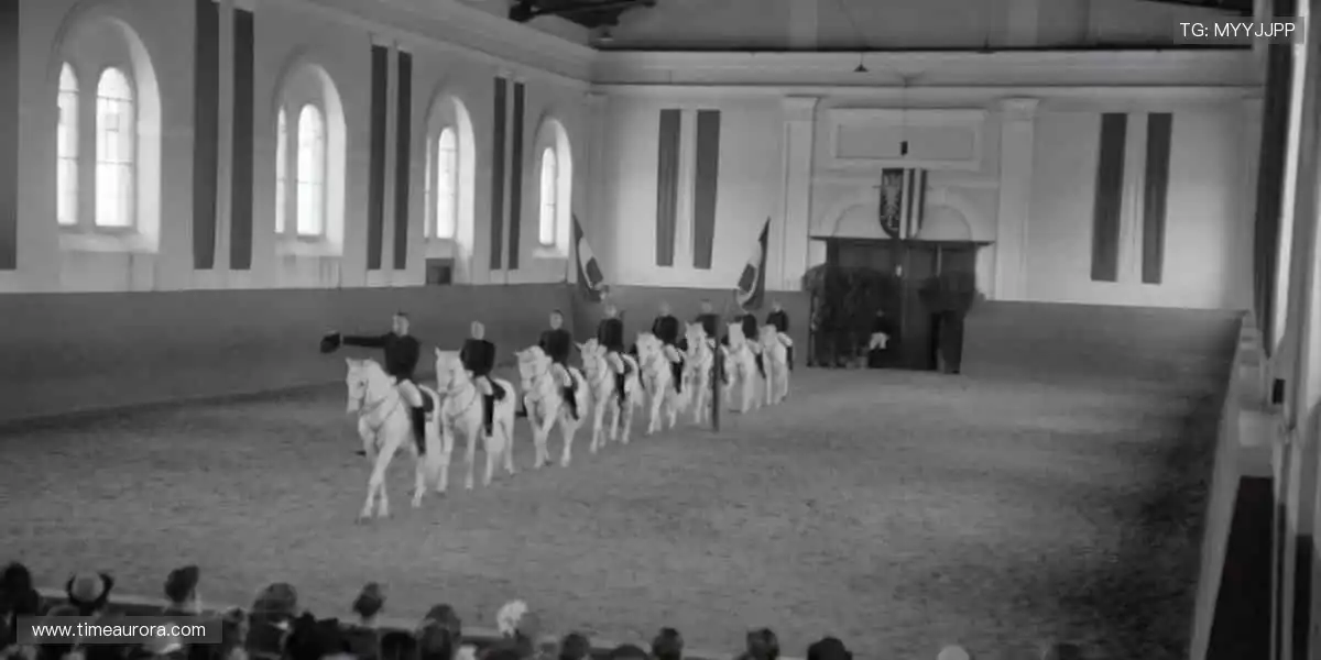 专属运动潮流，让热爱触手可及！🎁👕